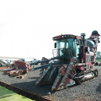 COLHEDORAS DE CANA CASE IH A8800 - CANADÁ