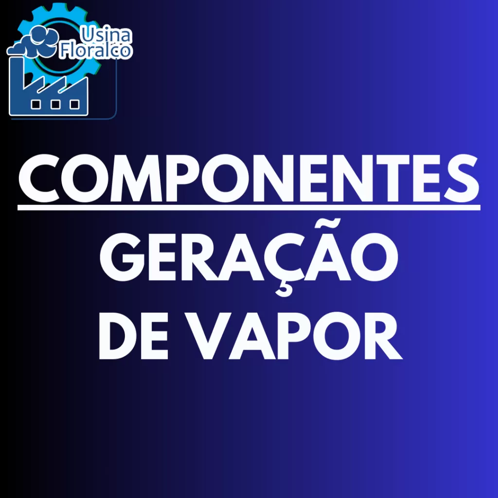 COMPONENTES DA GERAÇÃO DE VAPOR